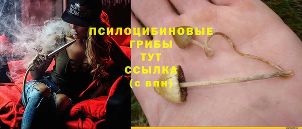 кокаин Алексеевка