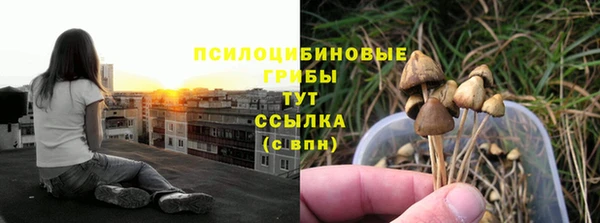 не бодяженный Алексин
