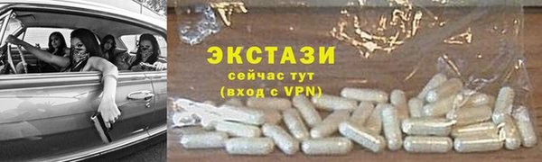 ECSTASY Алзамай