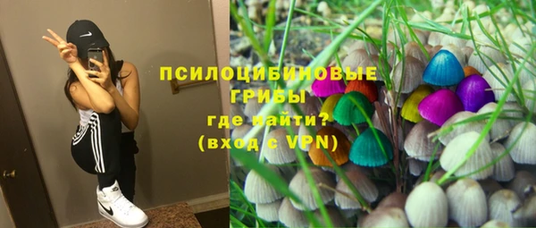 не бодяженный Алексин