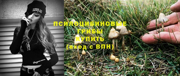 ECSTASY Алзамай