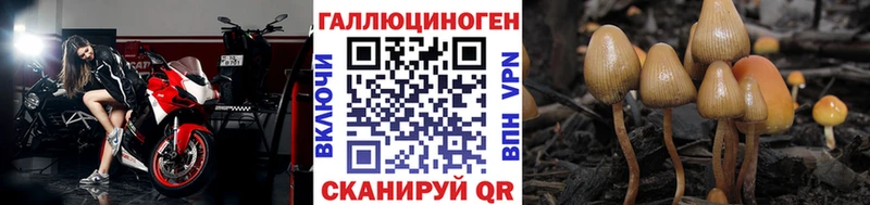 Галлюциногенные грибы Psilocybine cubensis  купить  цена  Боровичи 