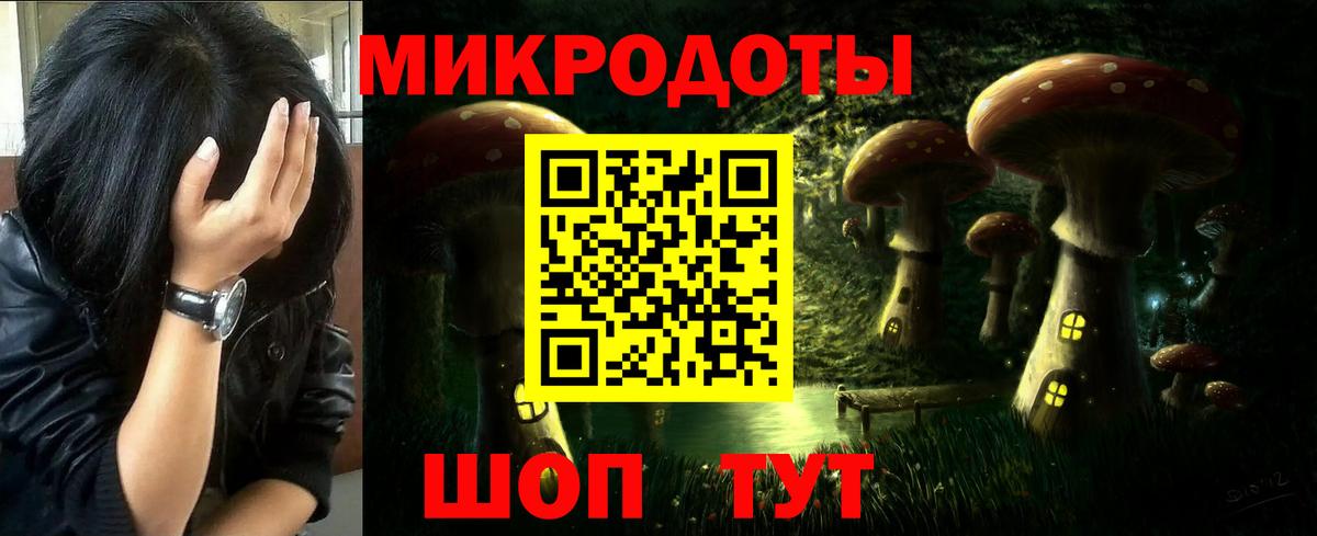 Галлюциногенные грибы Cubensis Боровичи